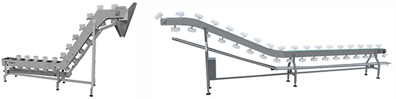 給袋式真空包裝（zhuāng）機