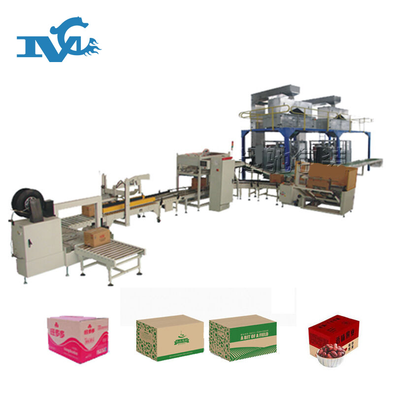 自動理包裝箱線